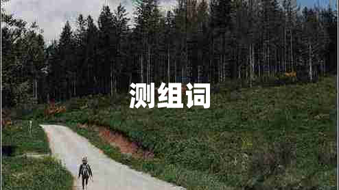 測(cè)組詞