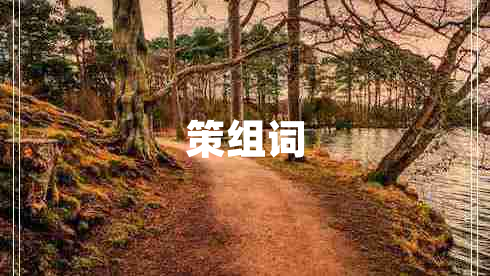 策組詞