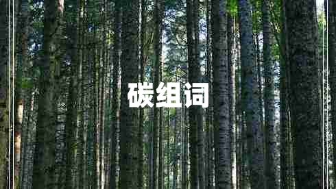 碳組詞