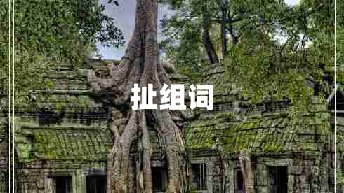 扯組詞