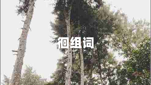 徊組詞
