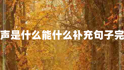 掌聲是什么能什么補(bǔ)充句子完整