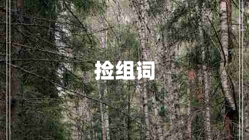撿組詞
