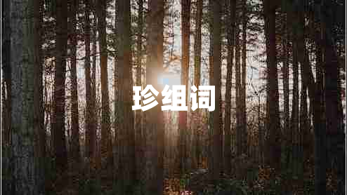 珍組詞