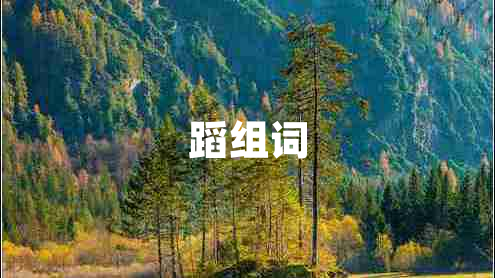蹈組詞