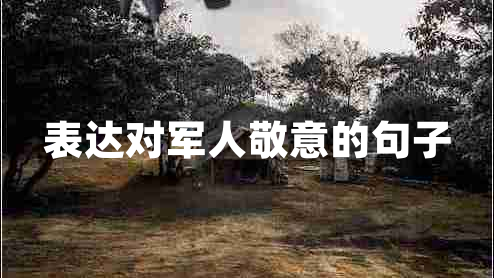 表達(dá)對(duì)軍人敬意的句子