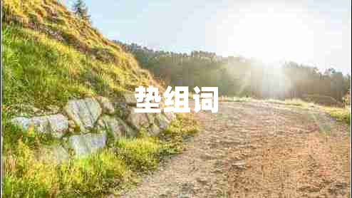 墊組詞
