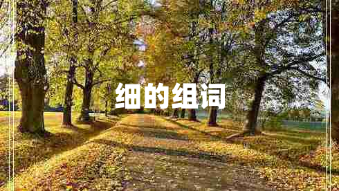 細的組詞