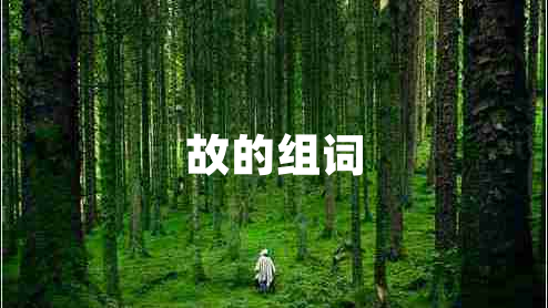 故的組詞