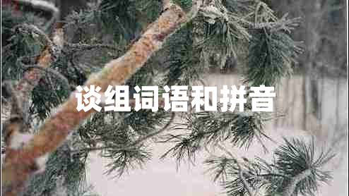 談組詞語(yǔ)和拼音