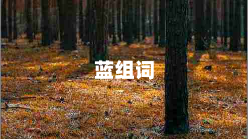 藍組詞