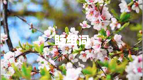 眨組詞