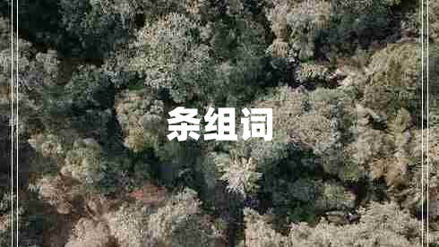 條組詞