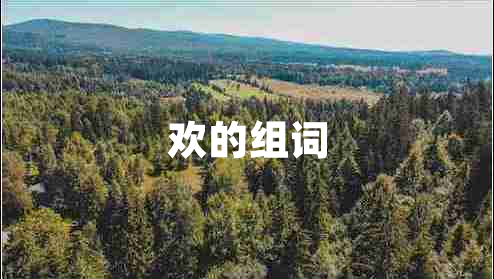 歡的組詞
