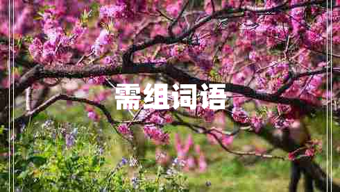 需組詞語(yǔ)