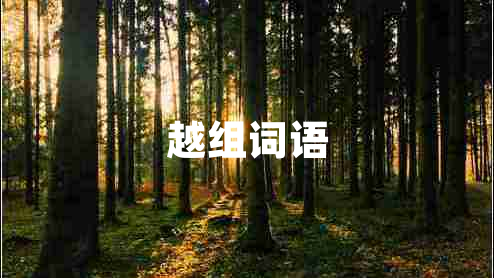 越組詞語(yǔ)