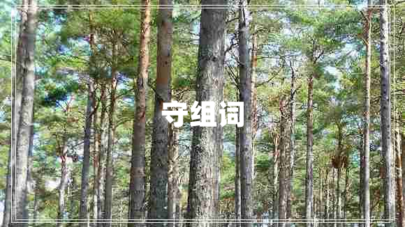 守組詞