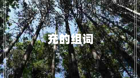 充的組詞