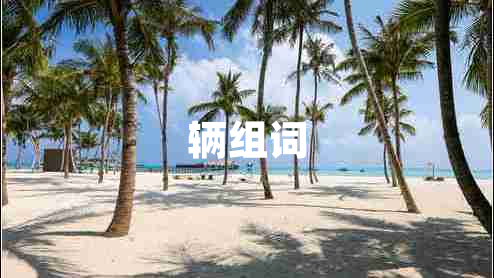 輛組詞