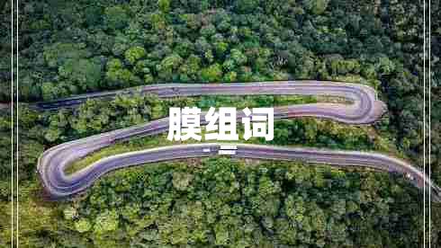 膜組詞