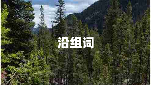 沿組詞