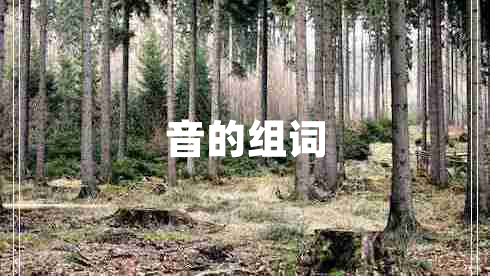 音的組詞