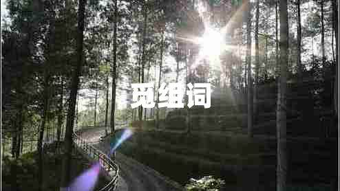 覓組詞