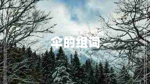 傘的組詞