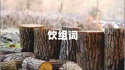 飲組詞