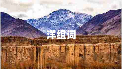 洋組詞