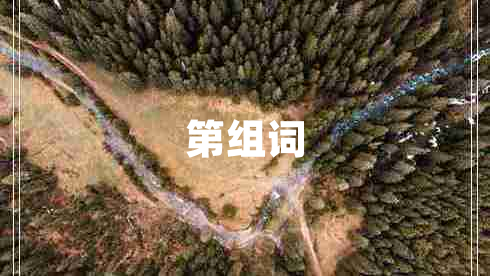 第組詞