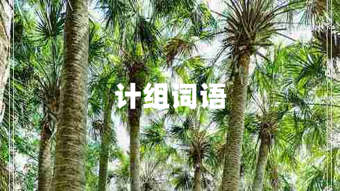 計組詞語(yǔ)