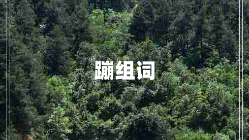 蹦組詞