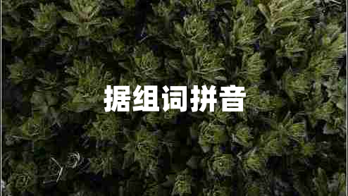 據組詞拼音