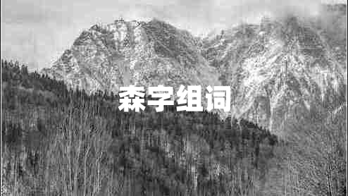 森字組詞