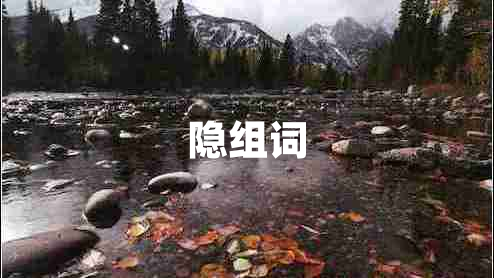 隱組詞