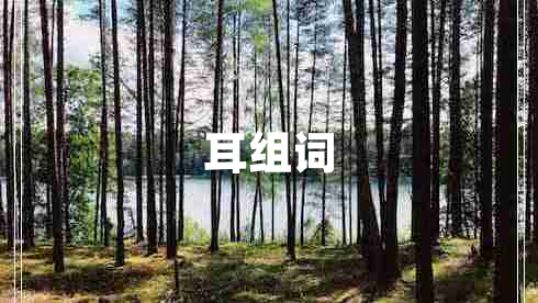 耳組詞