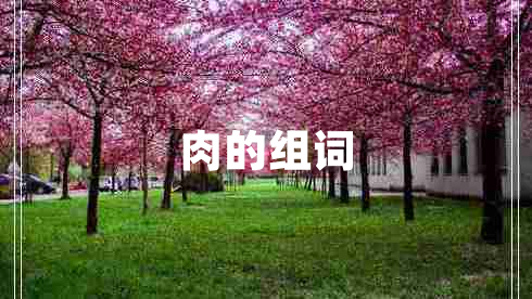 肉的組詞