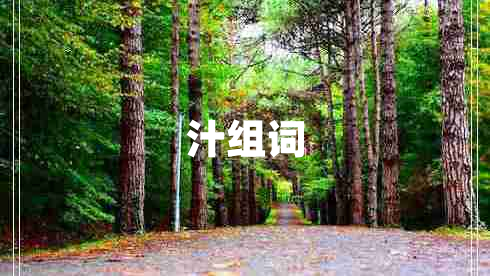 汁組詞