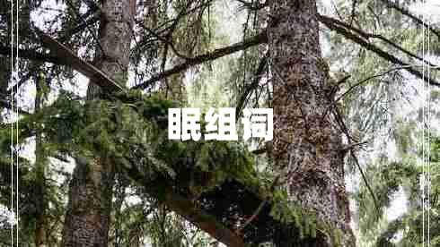眠組詞
