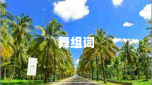 舞組詞