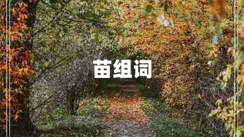 苗組詞