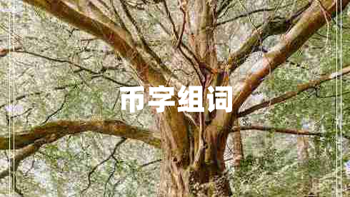 幣字組詞