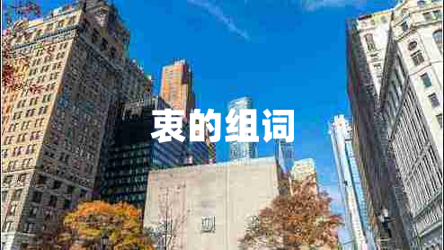 衷的組詞