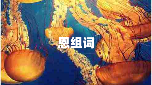 恩組詞
