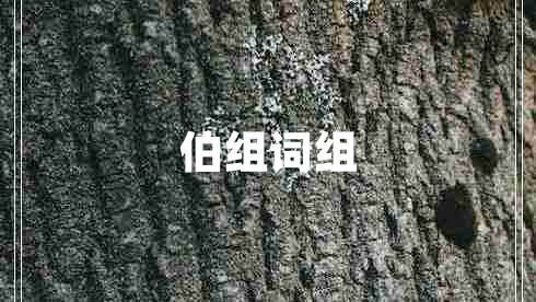伯組詞組