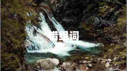 惜組詞