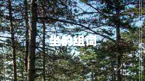 坐的組詞