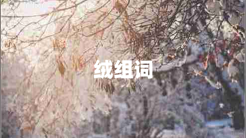 絨組詞