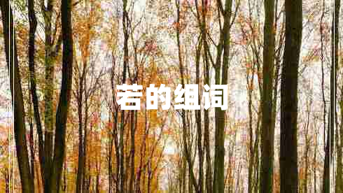 若的組詞
